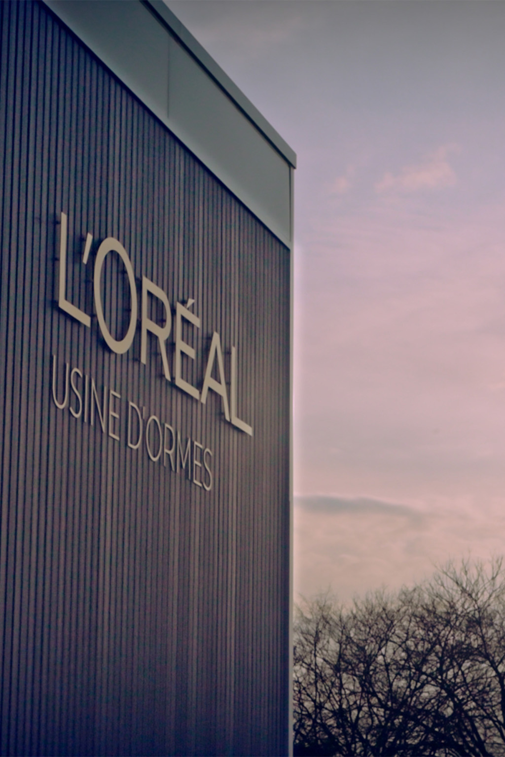 L'OREAL